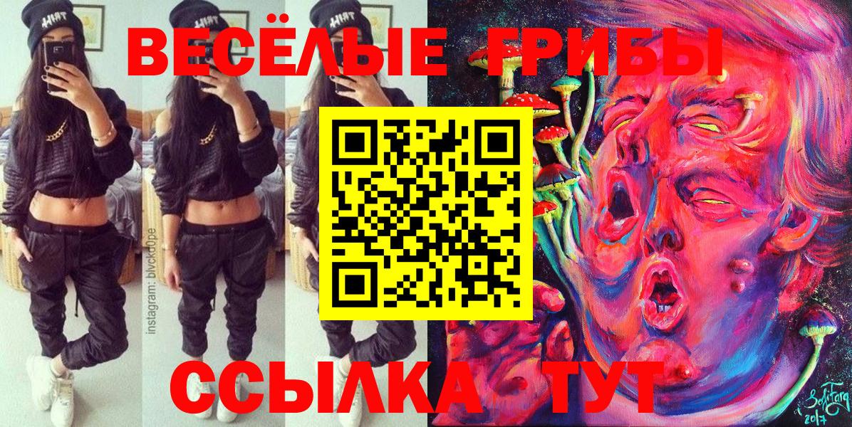 Галлюциногенные грибы Psilocybine cubensis  Вход с VPN  Алейск 